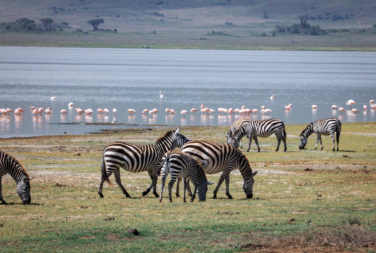 Lake Manyara National Park Tanzania safari holidays wildlife viewing landscape